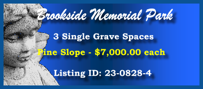 3 Single Grave Spaces $7Kea! Brookside Memorial Park Houston, TX Pine Slope #cemeteryexchange 23-0828-4