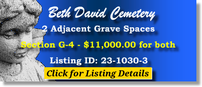 2 Single Grave Spaces $11K! Beth David Cemetery Elmont, NY Section G4 #cemeteryexchange 23-1030-3