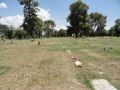 24-0717-8e.JPG