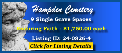 9 Single Grave Spaces $1750ea! Hampden Cemetery Denver, CO Enduring Faith #cemeteryexchange 24-0826-4