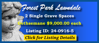 2 Single Grave Spaces $9K! Forest Park Lawndale Houston, TX Gethsemane #cemeteryexchange 24-0916-5