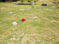 25-0519-4b.JPG