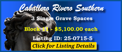 3 Single Grave Spaces $5100ea! Caballero Rivero Southern Miami, FL Block 11 #cemeteryexchange 25-0715-5