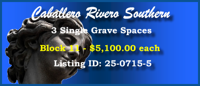 3 Single Grave Spaces $5100ea! Caballero Rivero Southern Miami, FL Block 11 #cemeteryexchange 25-0715-5