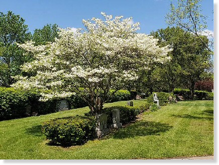2 Single Grave Spaces $1600ea! Calvary Cemetery Indianapolis, IN Trinity The Cemetery Exchange 24-0306-5
