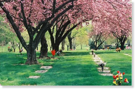 Single Grave Space $6295! Fairfax Memorial Park Fairfax, VA Braddock #cemeteryexchange 25-0603-5