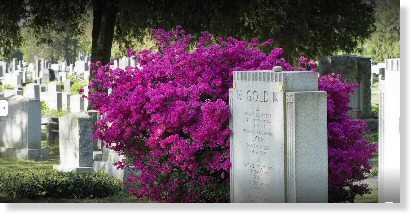 6 Single Grave Spaces $10K!! Riverside Cemetery Saddle Brook, NJ Family The Cemetery Exchange 22-0112-13