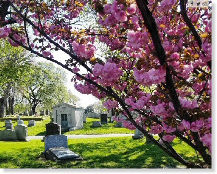 DD Companion Lawn Crypt $10K! St Michaels Cemetery East Elmhurst, NY St Anna The Cemetery Exchange 23-0420-3